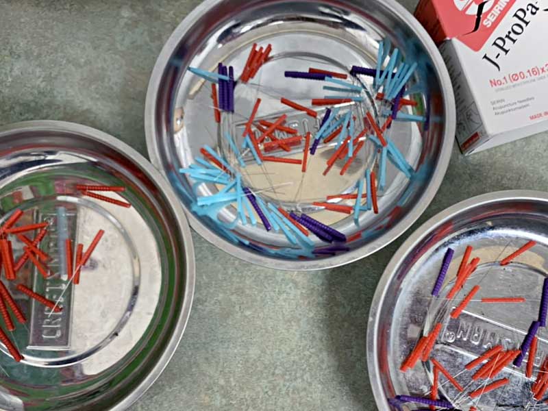 Mature dog with acupuncture needles in his face and back.