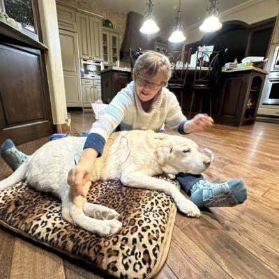 04ba880e C743 4469 8152 7f060fda1c00 1 105 C