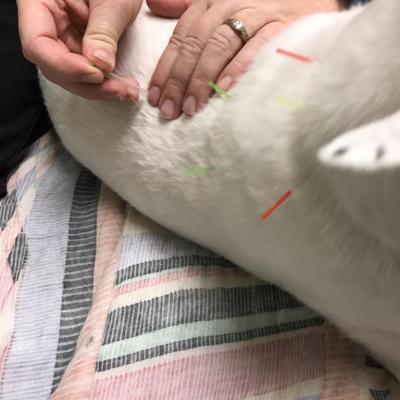 0699d089 Fd2e 4553 Afef 70c3ce6db264 1 105 C