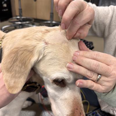 10b9800c B27d 4b63 912e 980762af7d1d 1 102 O