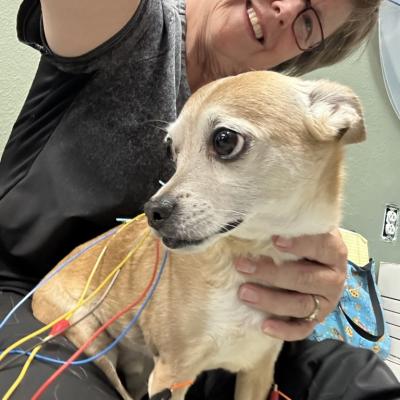 22188e1f 0f0a 41f6 B96f 726d302984c8 1 105 C