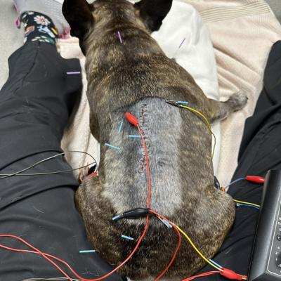 38dfa969 9069 4bcf B6b7 8d6e7db7c8bd 1 105 C