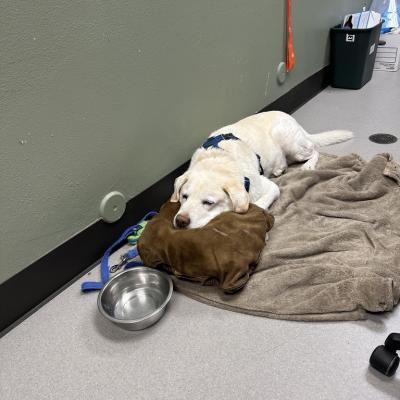 4e654473 F28f 4c13 A064 Aa7a83474323 1 105 C