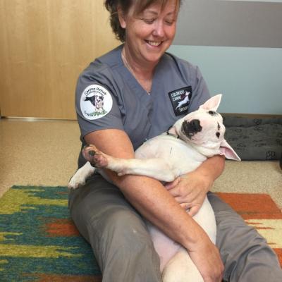 6bd4309c 1731 4f17 8417 72b6651e970e 1 105 C