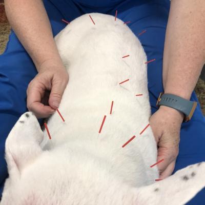 6f8aeb9e A898 4907 Ad2d 3b1bf8301529 1 105 C