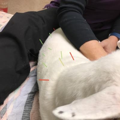 770ec608 7bd8 422c B3c3 E1727a1efd32 1 105 C