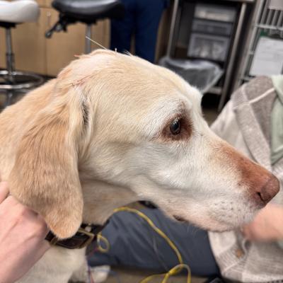 7b7174d0 30d4 4e36 9da8 A1c4283930a4 1 102 O