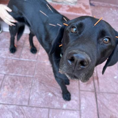 7d60a8ba D90c 4cf6 Bdc3 93c1f8ef268a 1 105 C