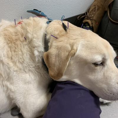 8983795b F12c 4a12 B109 1c8da3fbac25 1 105 C