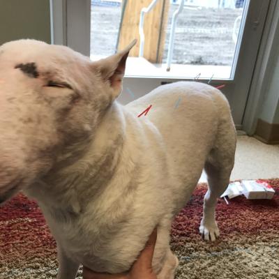 A05bfe77 571d 4cbb Bd96 Ae866bb7e4cc 1 105 C