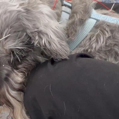 A0ad4865 D917 4fe9 B773 3c7688983738 1 105 C