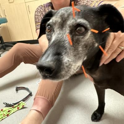 A8ffda21 8a1d 4ff6 B35a 5d8f7745d695 1 105 C