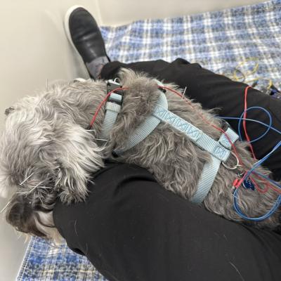 A902f06b E207 49b4 8c89 261900f8f912 1 105 C