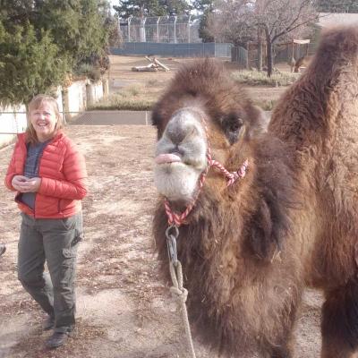 Bonnie At Zoo With Camel