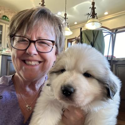 Ff23b835 Ff75 4387 Aa1e Cf549d2fdf89 1 105 C