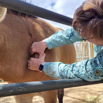 Resized 20240417 140048 1713400421106