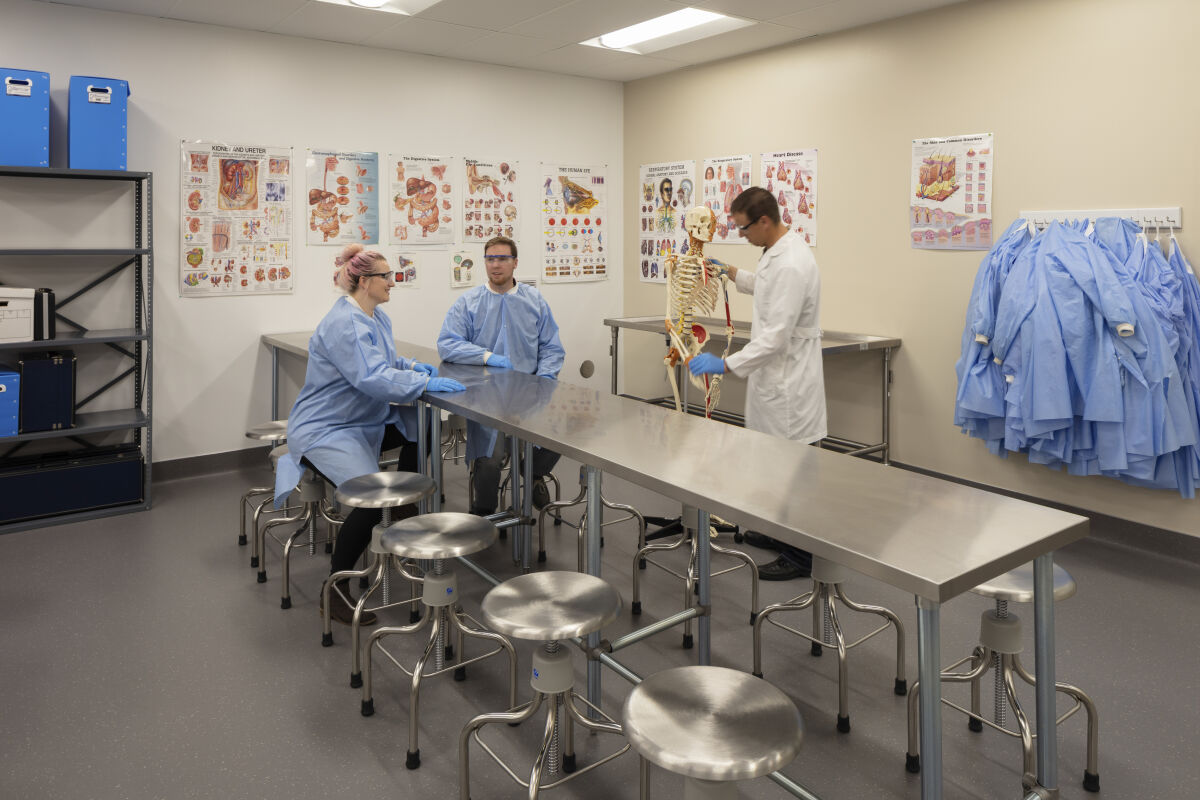 Anatomy preparation lab with stainless-steel worktables and stools, wall-mounted anatomical charts, a full-size skeleton model, stainless-steel shelving with storage bins, and a row of blue lab coats hanging on wall hooks under recessed ceiling lighting.