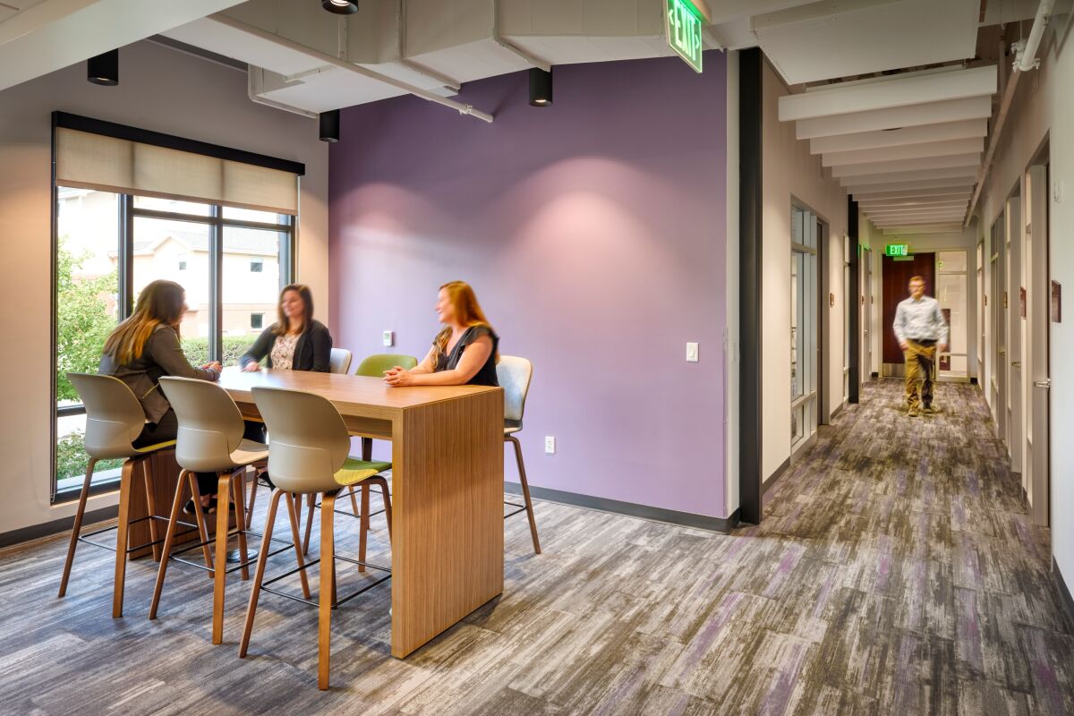 Collaboration area at the Amy Davis Hospice Support Center featuring a tall wood table with high‑back chairs beside a large window, a purple accent wall, overhead ceiling panels, and a corridor lined with office doors.