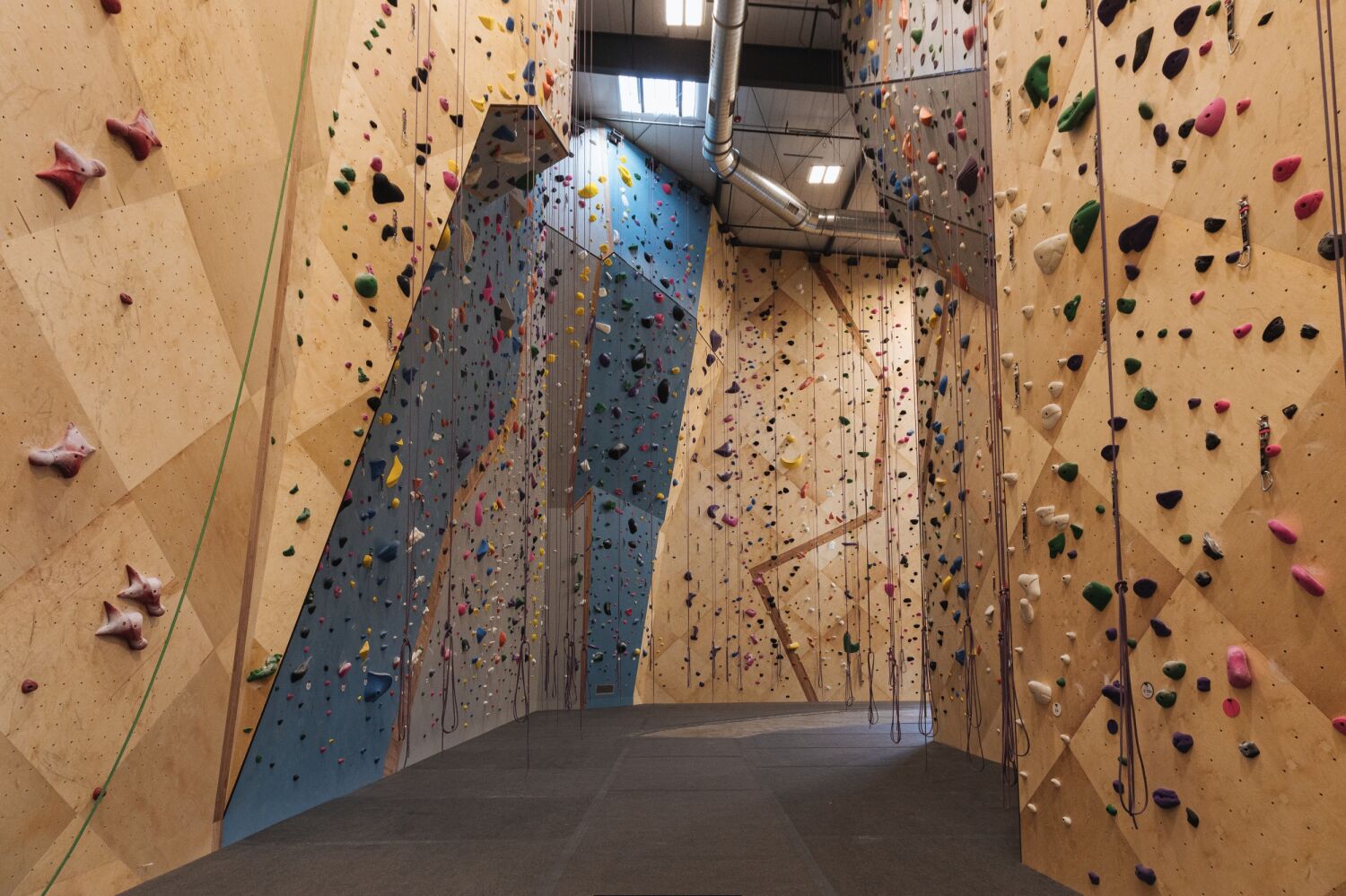 Tall indoor climbing walls with rope routes and multicolored holds inside a large climbing gym.