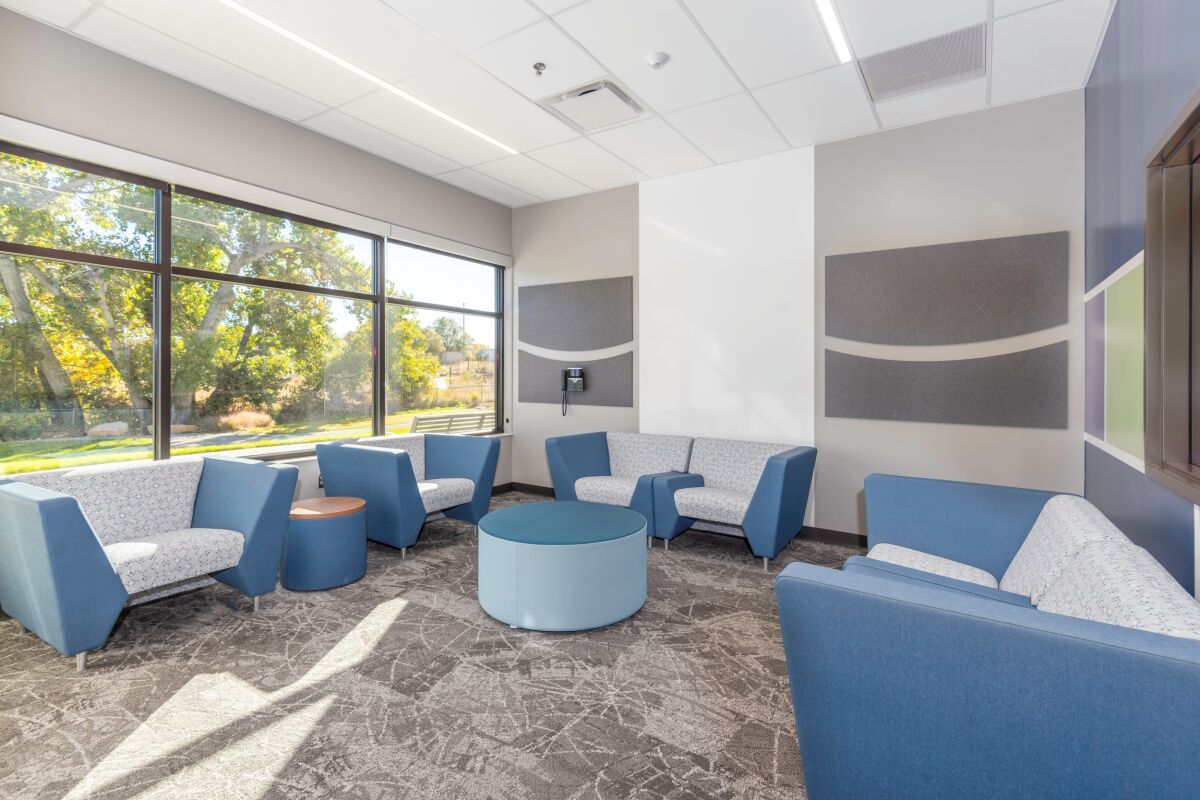 Group therapy room with blue and gray lounge seating arranged in a circle, acoustic wall panels, large windows, and patterned carpet flooring.
