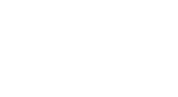 Drawing of aerial view of the building including surrounding parcel.